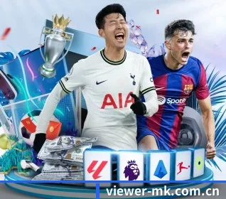 viewer-mk.com.cn APP